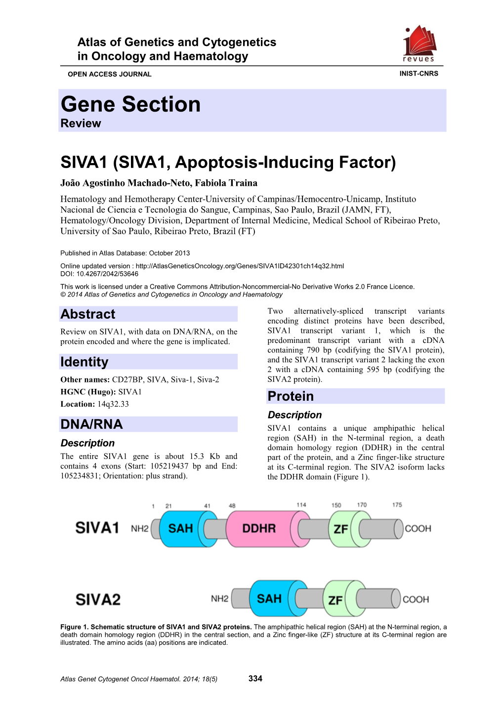 Gene Section Review