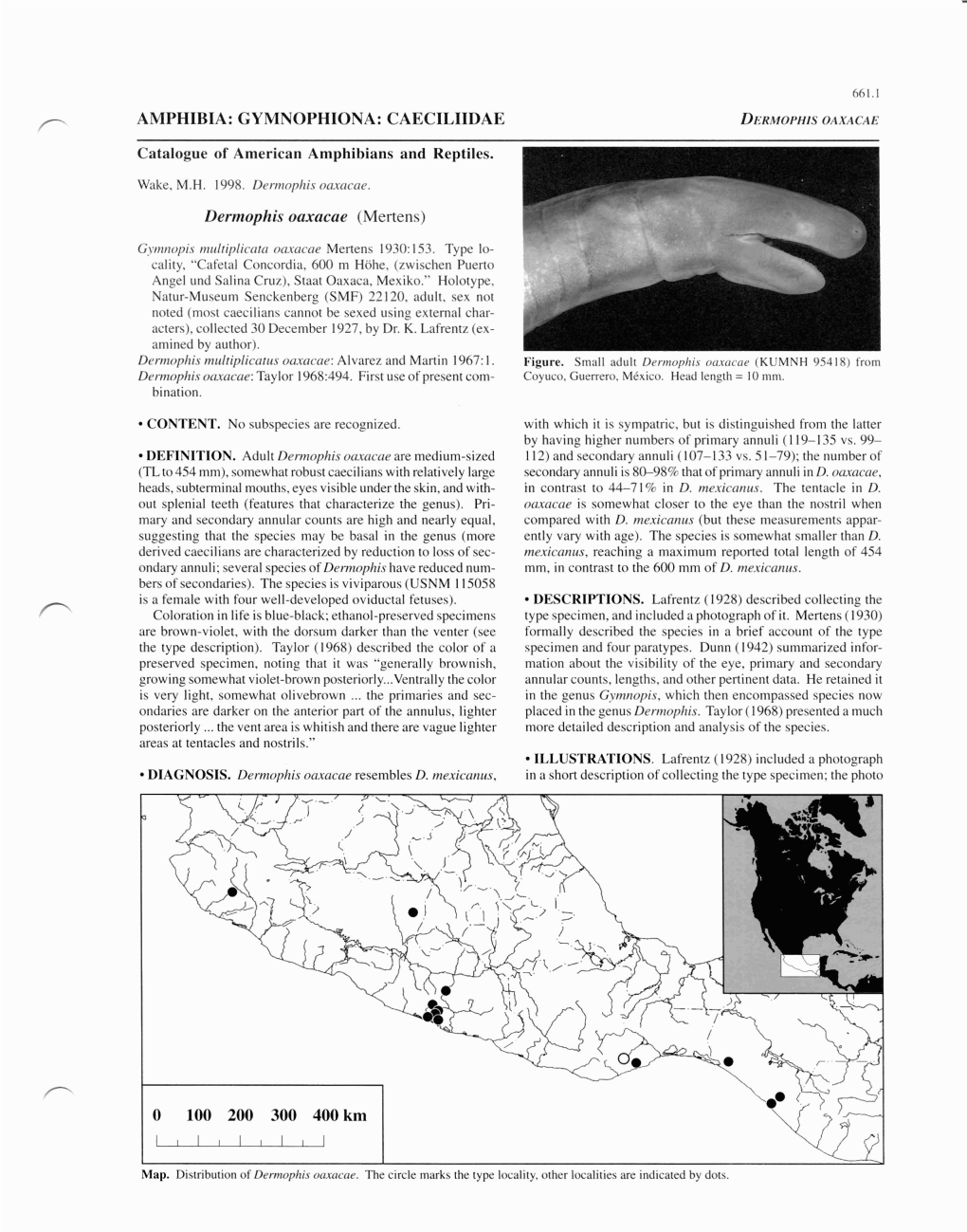 AMPHIBIA: GYMNOPHIONA: CAECILIIDAE Catalogue of American Amphibians and Reptiles