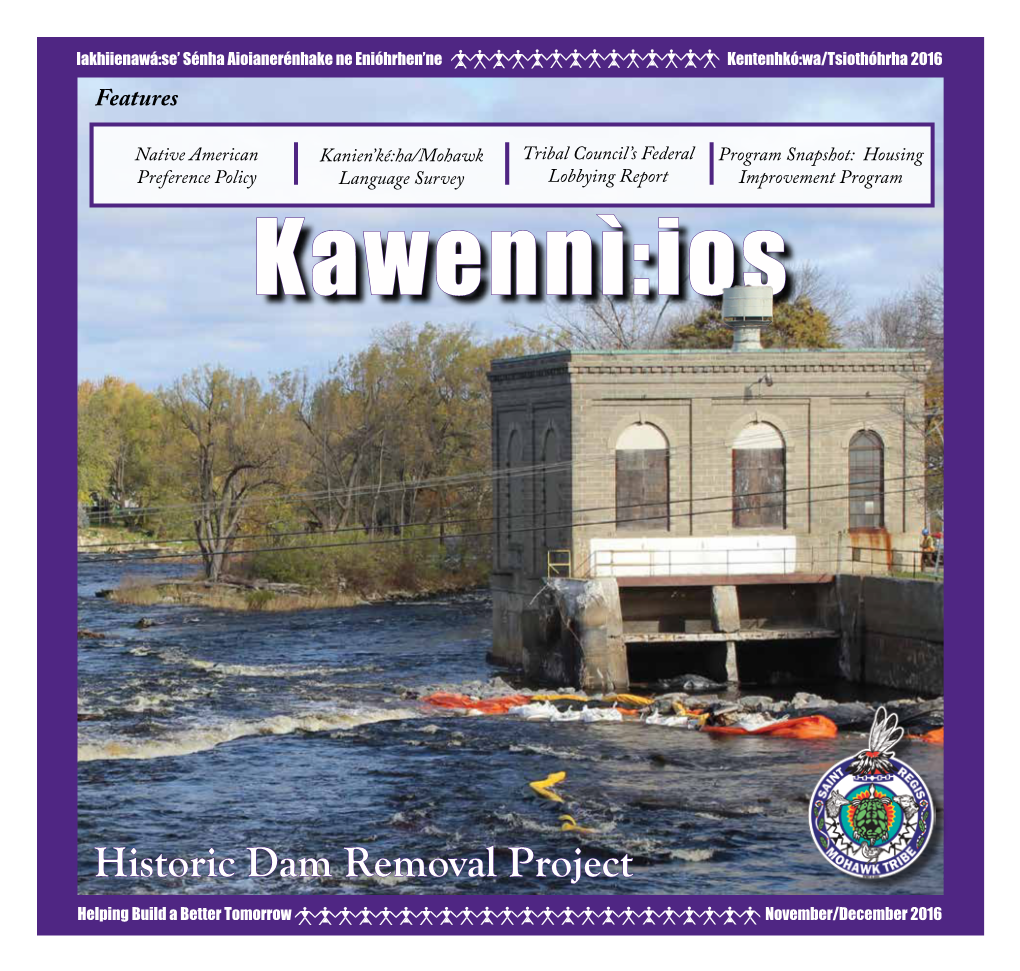 Historic Dam Removal Project