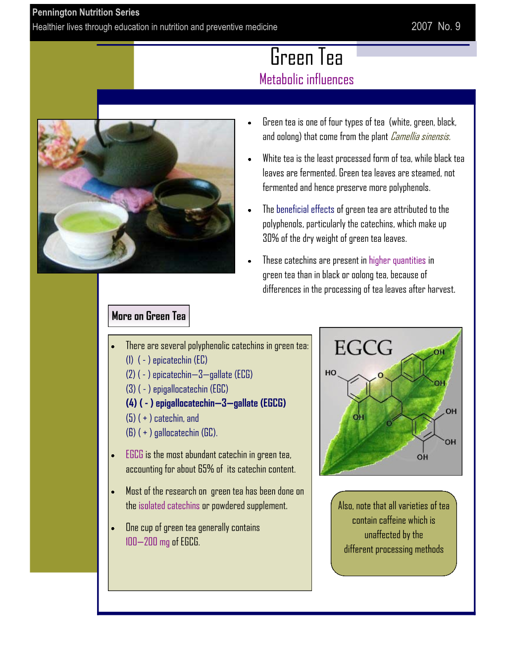 Green Tea Metabolic Influences