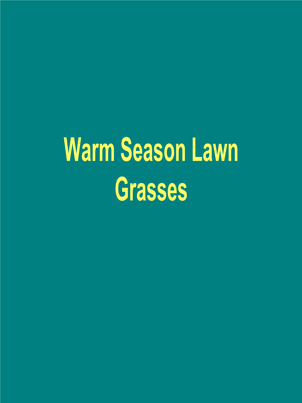 Warm Season Lawn Grasses Warm-Season Grasses