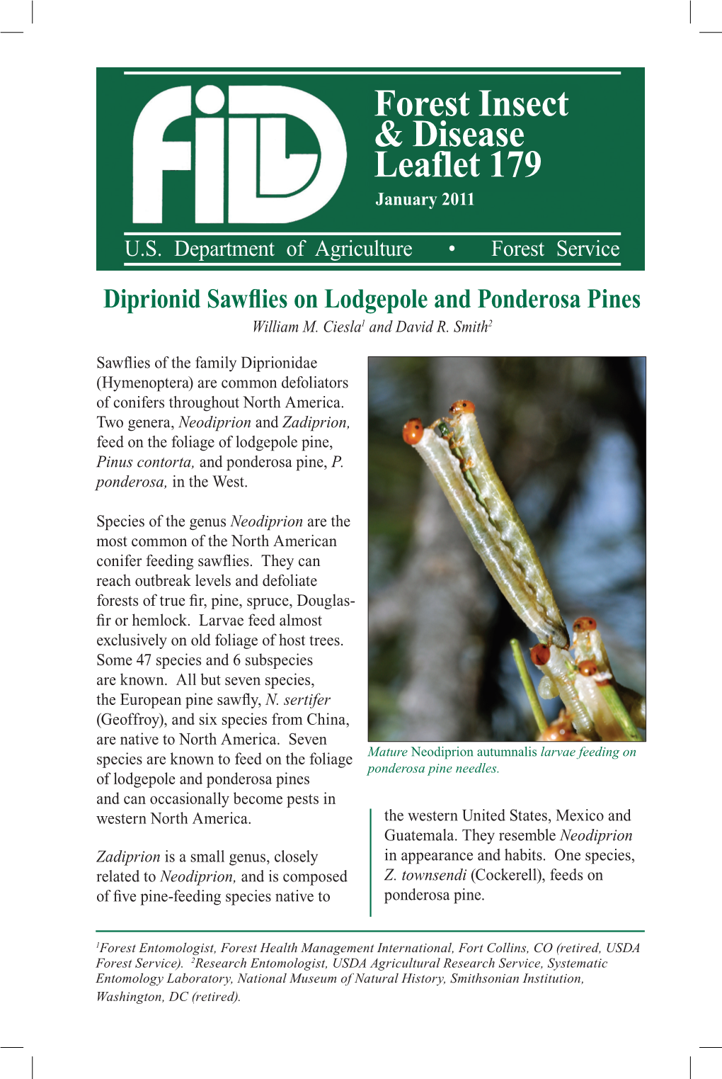 Diprionid Sawflies on Lodgepole and Ponderosa Pines