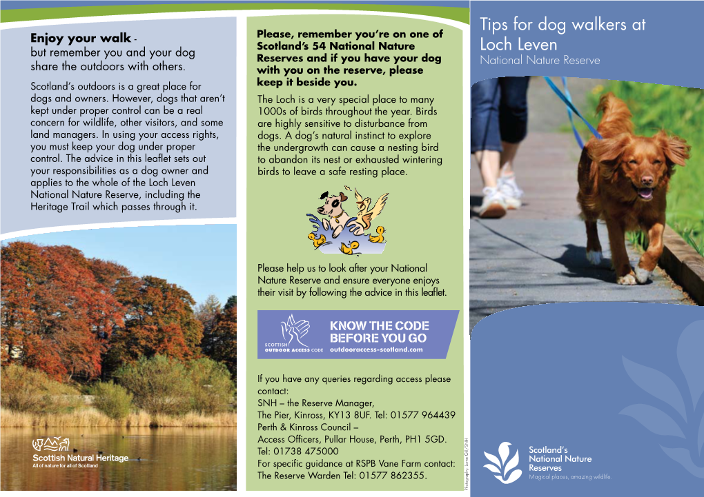 Tips for Dog Walkers at Loch Leven