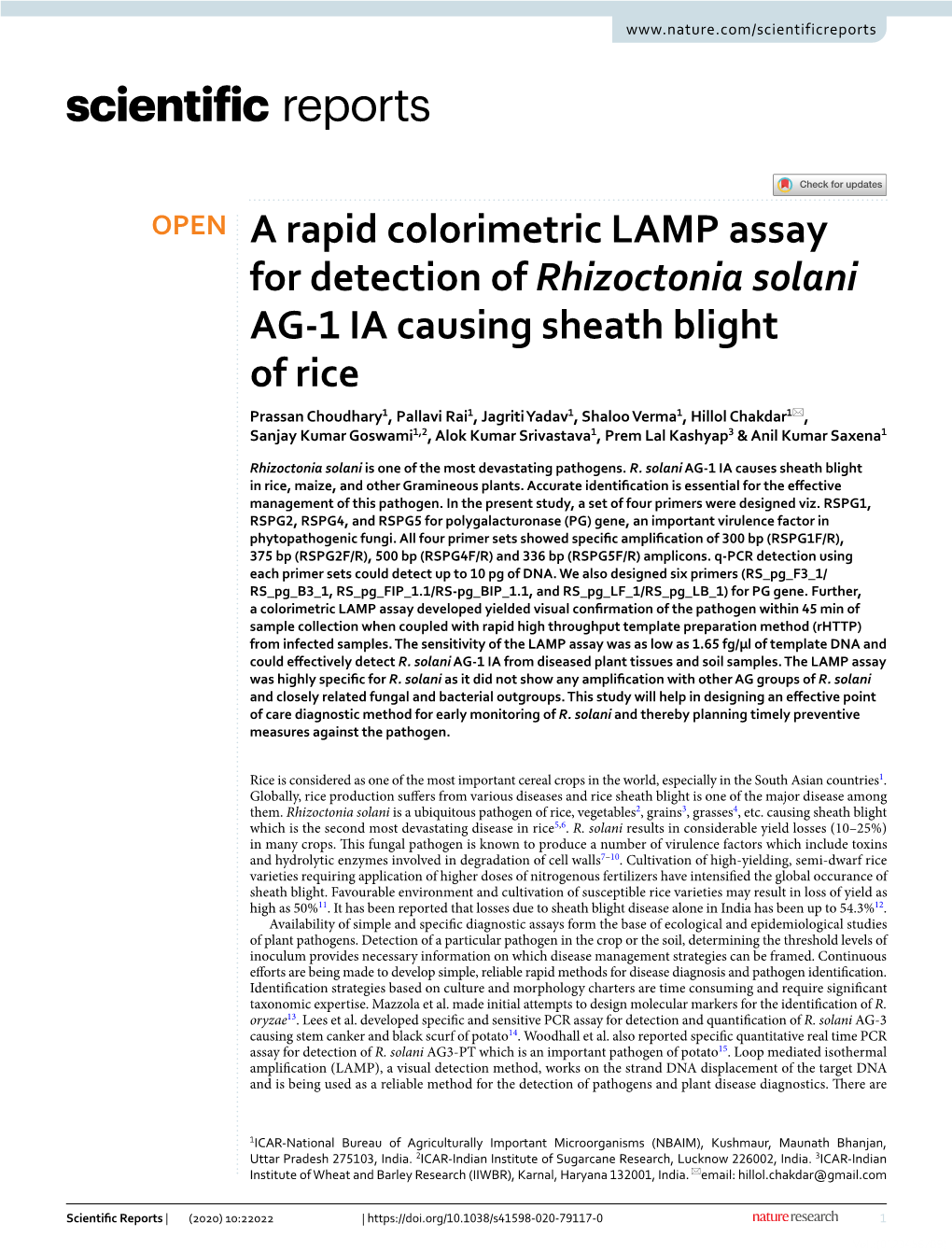 A Rapid Colorimetric LAMP Assay for Detection of Rhizoctonia Solani AG