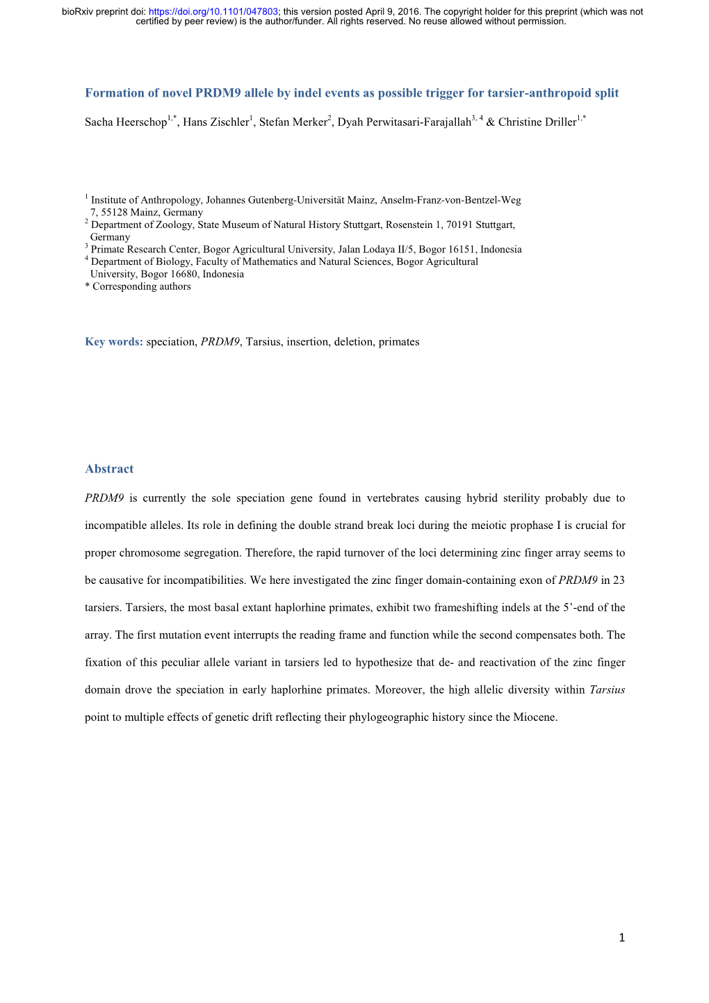 Formation of Novel PRDM9 Allele by Indel Events As Possible Trigger for Tarsier-Anthropoid Split