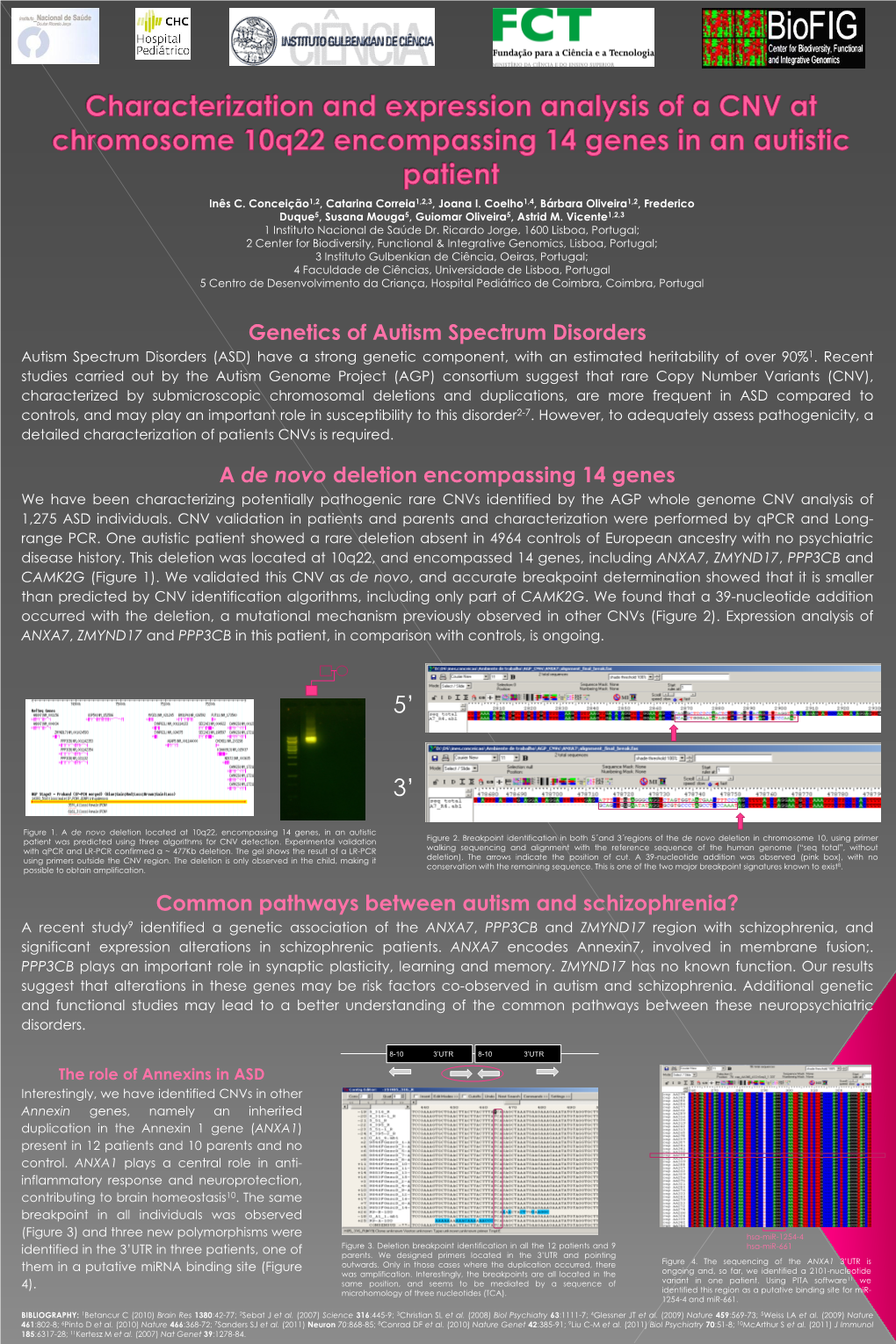 Characterization and Expression Analysis of a CNV at Chromosome