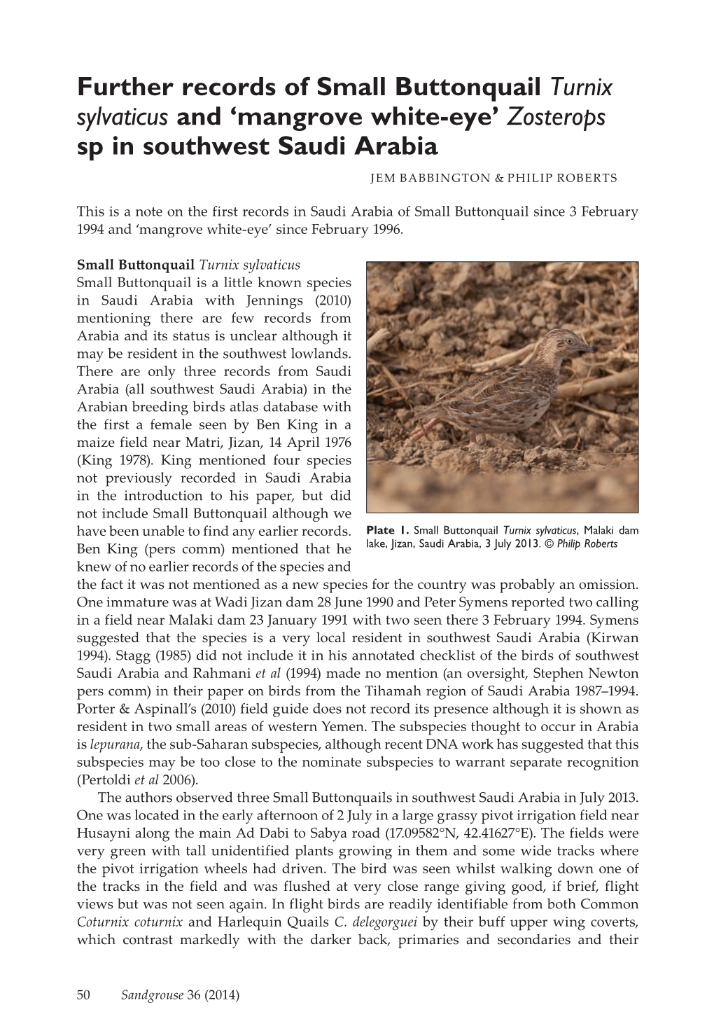 Further Records of Small Buttonquail Turnix Sylvaticus and 'Mangrove White-Eye' Zosterops Sp in Southwest Saudi Arabia