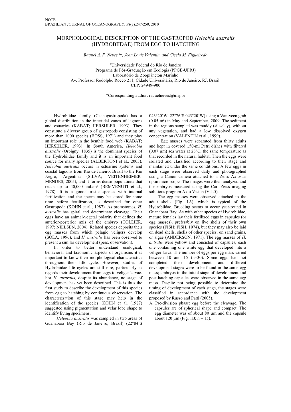 MORPHOLOGICAL DESCRIPTION of the GASTROPOD Heleobia Australis (HYDROBIIDAE) from EGG to HATCHING