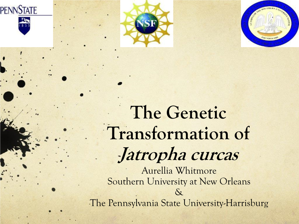 The Genetic Transformation of Jatropha Curcas Aurellia Whitmore Southern University at New Orleans & the Pennsylvania State University-Harrisburg