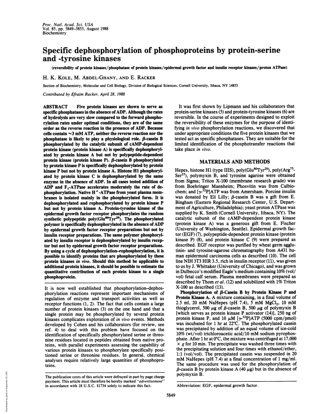 Specific Dephosphorylation of Phosphoproteins by Protein-Serine