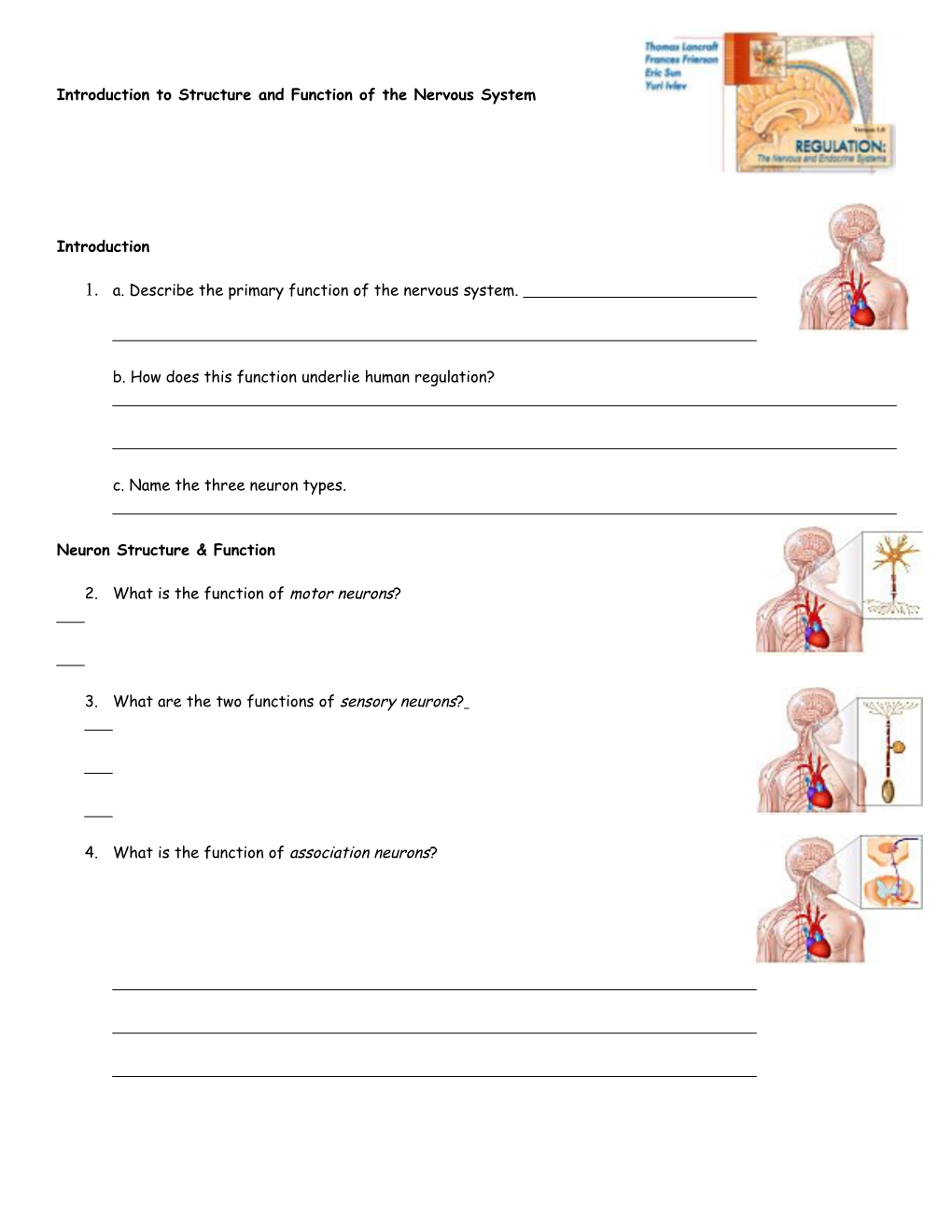 Endocrine System: Overview s5