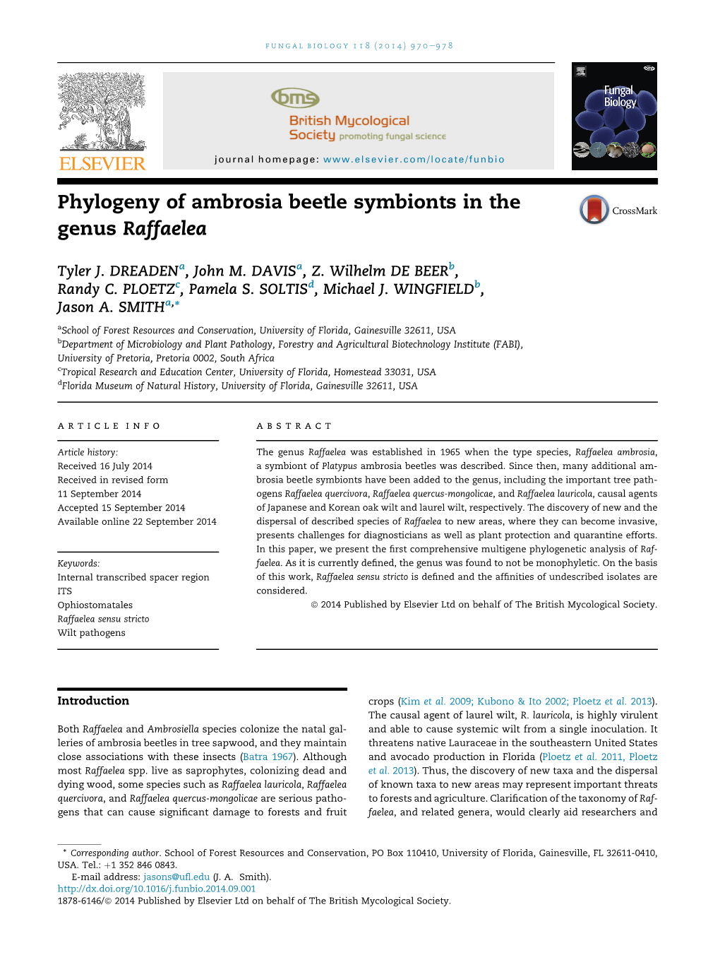 Phylogeny of Ambrosia Beetle Symbionts in the Genus Raffaelea