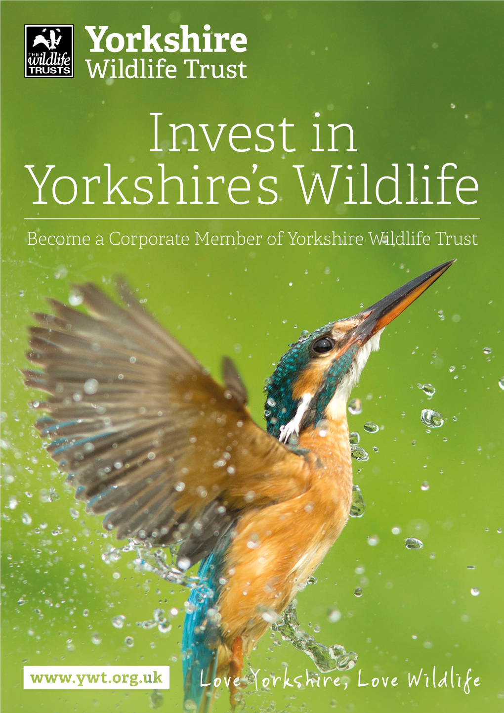 Invest in Yorkshire's Wildlife