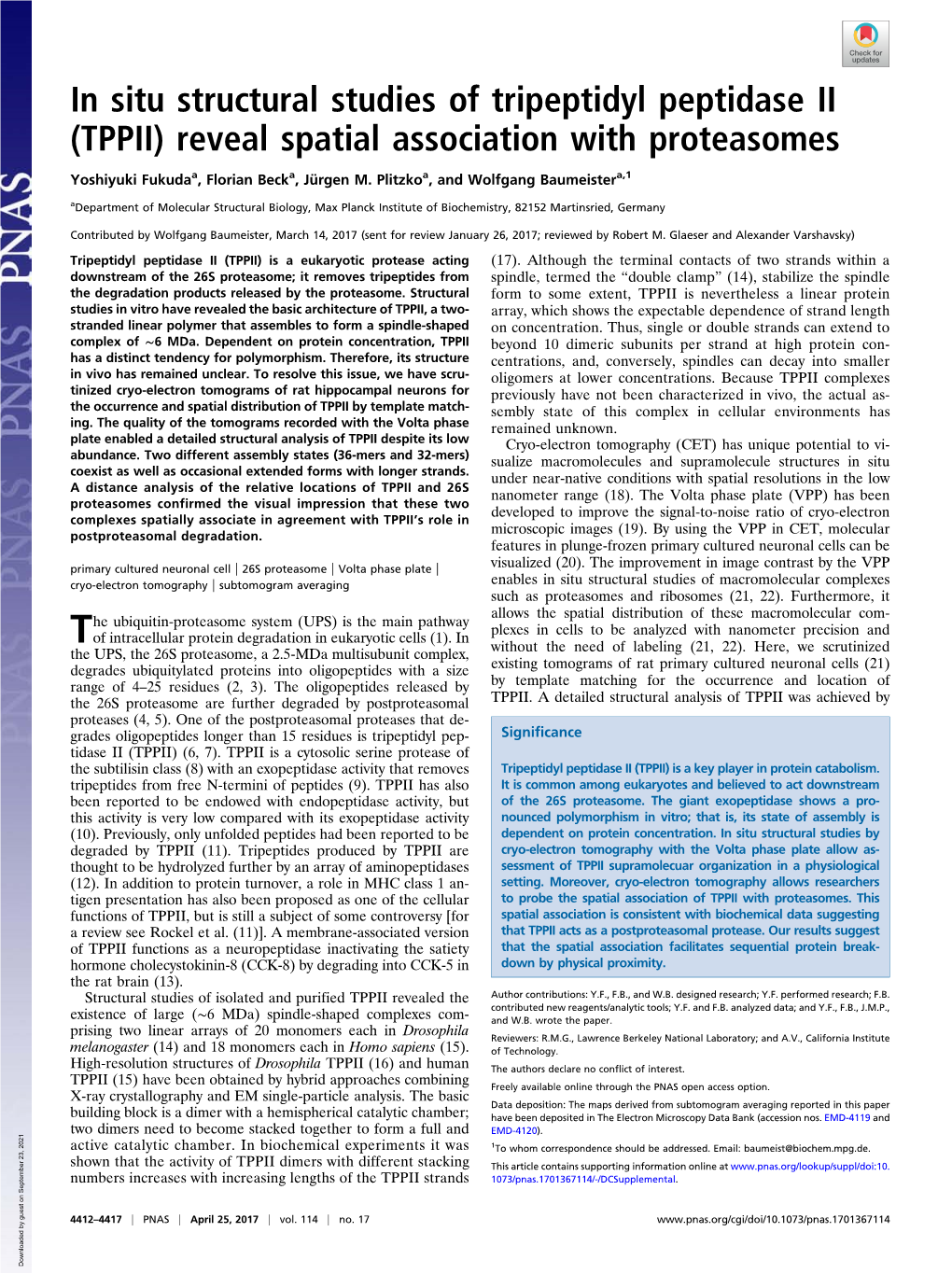 In Situ Structural Studies of Tripeptidyl Peptidase II (TPPII) Reveal Spatial Association with Proteasomes