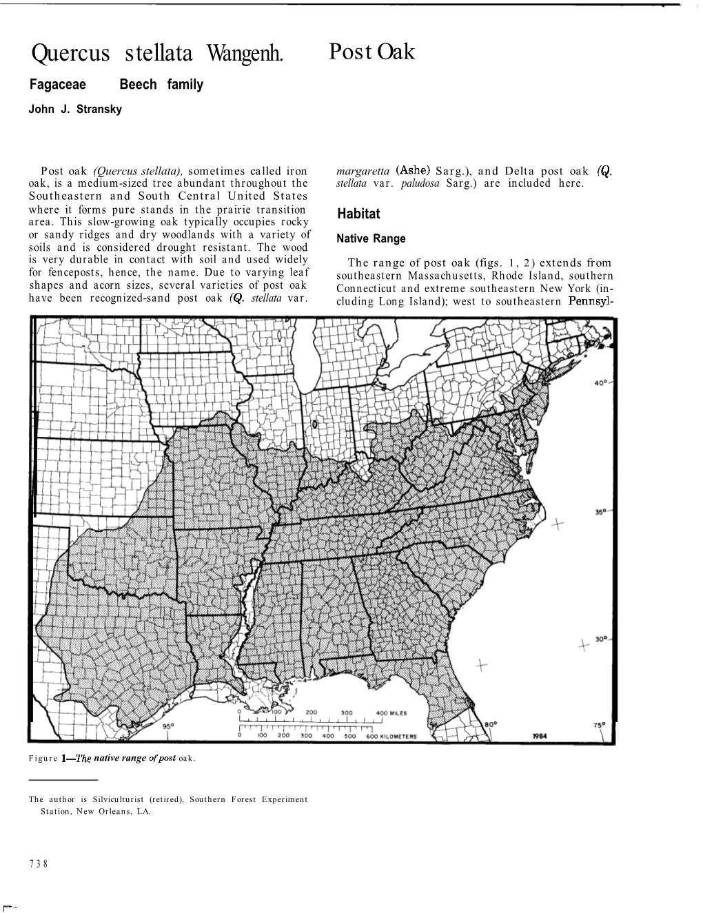 Quercus Stellata Wangenh. Post Oak Fagaceae Beech Family John J