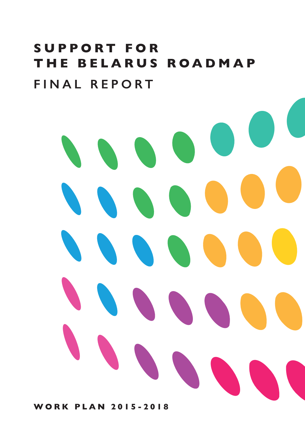 Support for the Belarus Roadmap Final Report