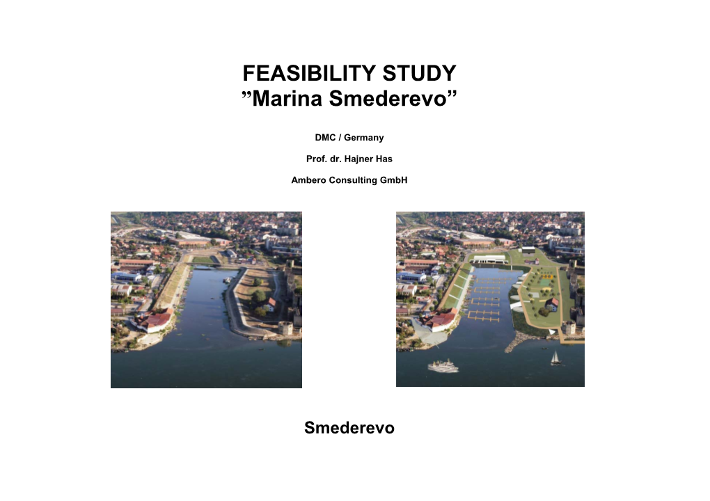 Feasibility Study