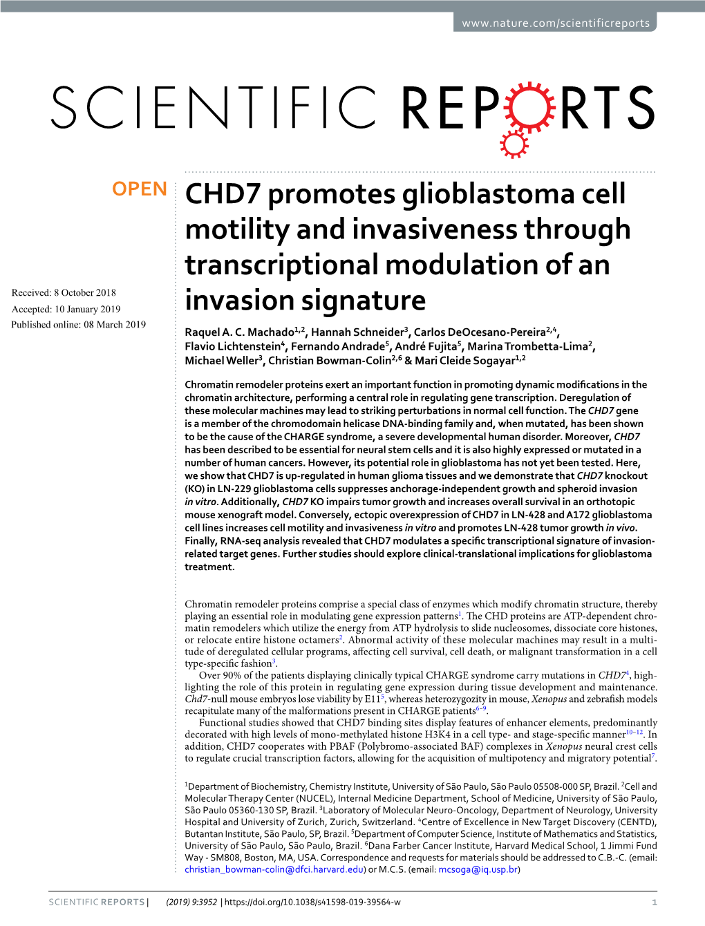 CHD7 Promotes Glioblastoma Cell Motility and Invasiveness Through