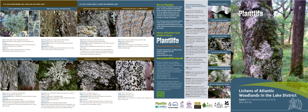 Lichens of Atlantic Woodlands in the Lake District