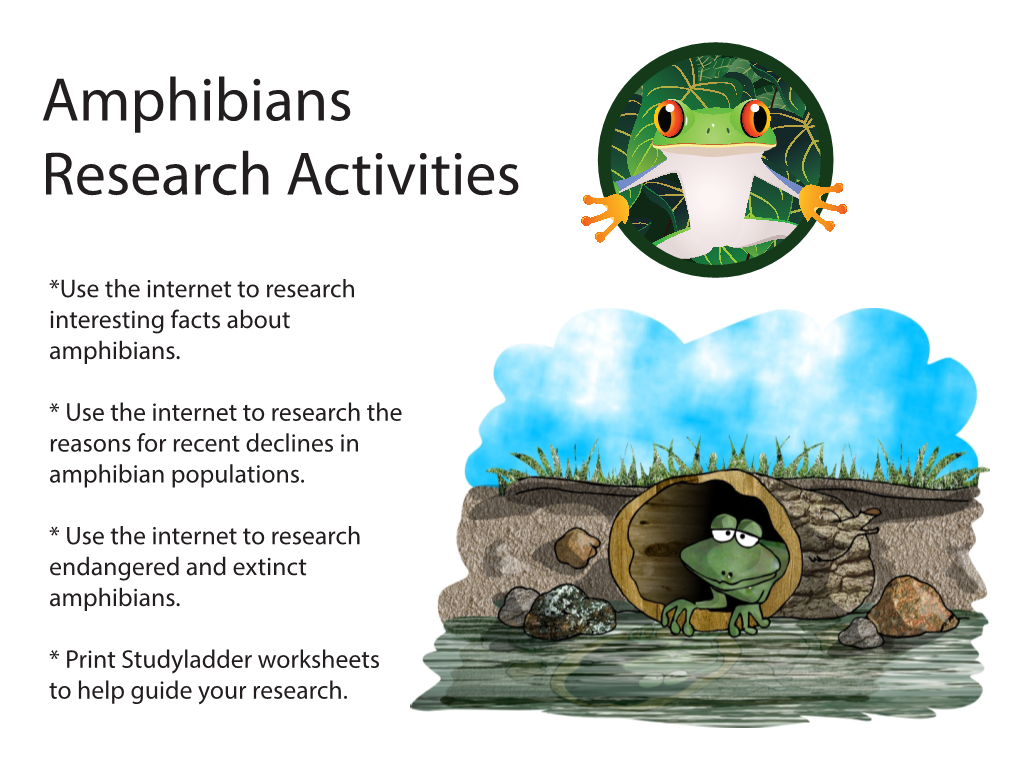 Amphibians Research Activities