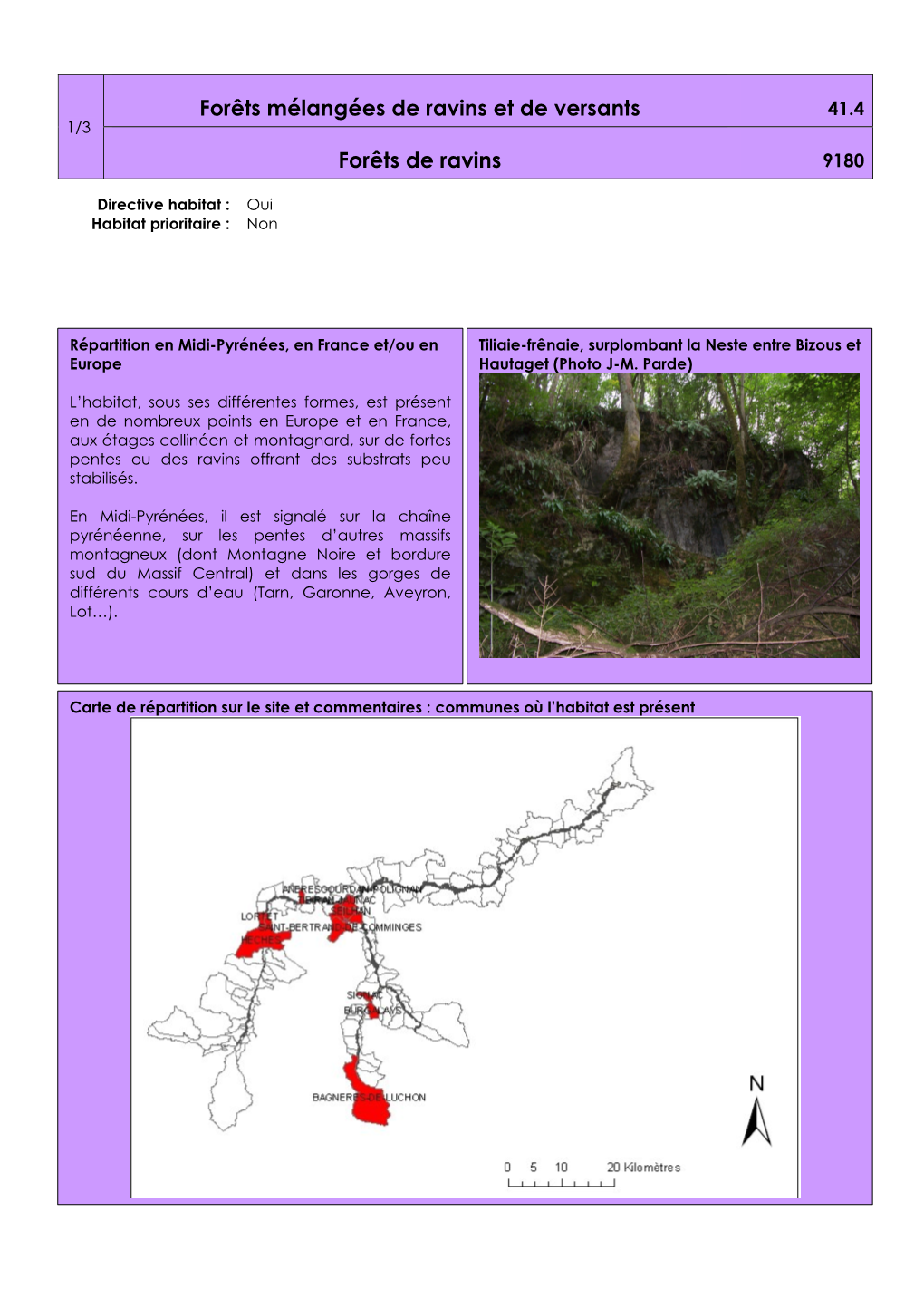 Forêts Mélangées De Ravins Et De Versants 41.4 1/3 Forêts De Ravins 9180