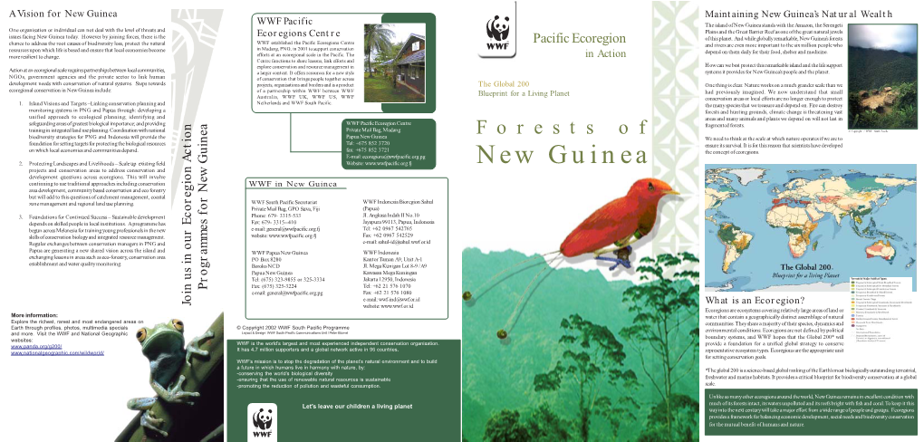 Forest of New Guinea