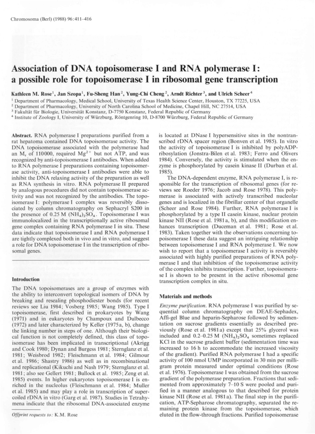 Association of DNA Topoisomerase I and RNA Polymerase I: a Possible Role for Topoisomerase I in Ribosomal Gene Transcription