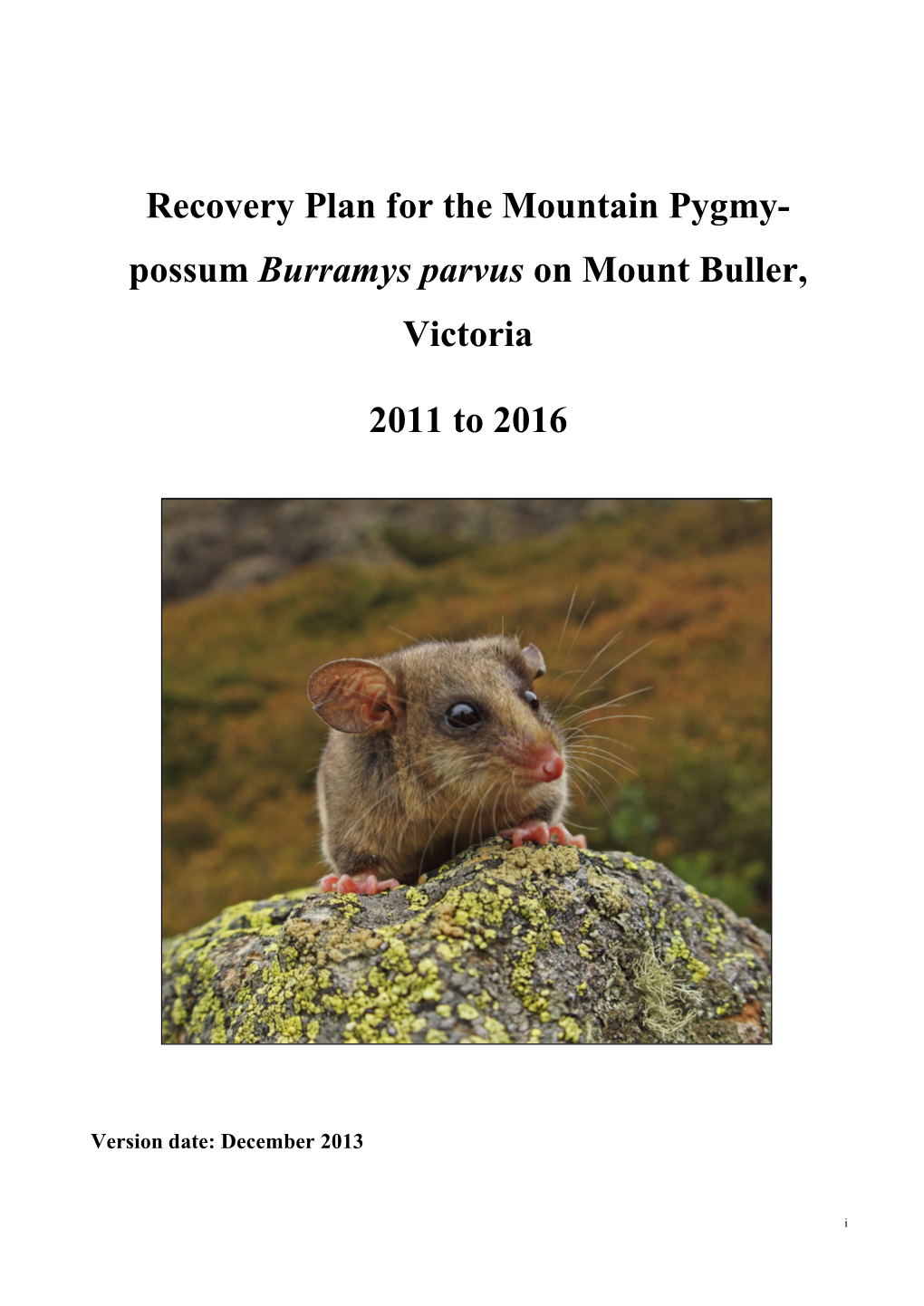 Recovery Plan for the Mountain Pygmy- Possum Burramys Parvus on Mount Buller, Victoria