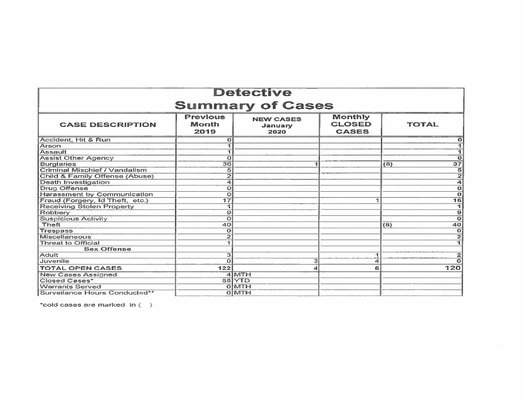 Detective Summary of Cases