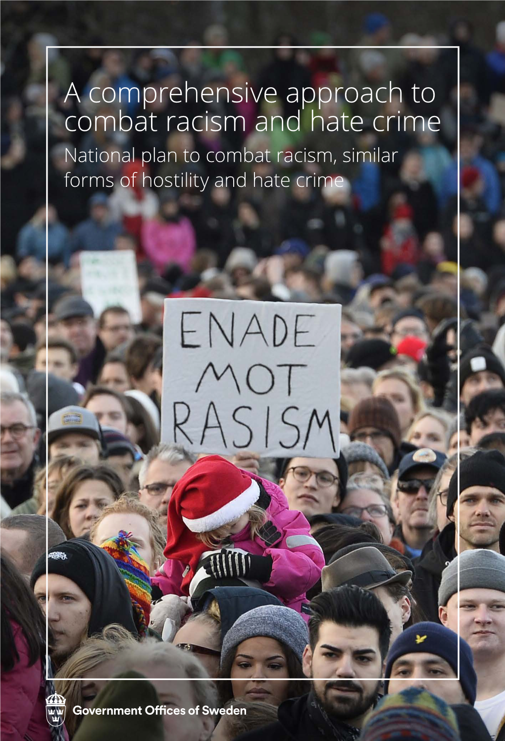 A Comprehensive Approach to Combat Racism and Hate Crime