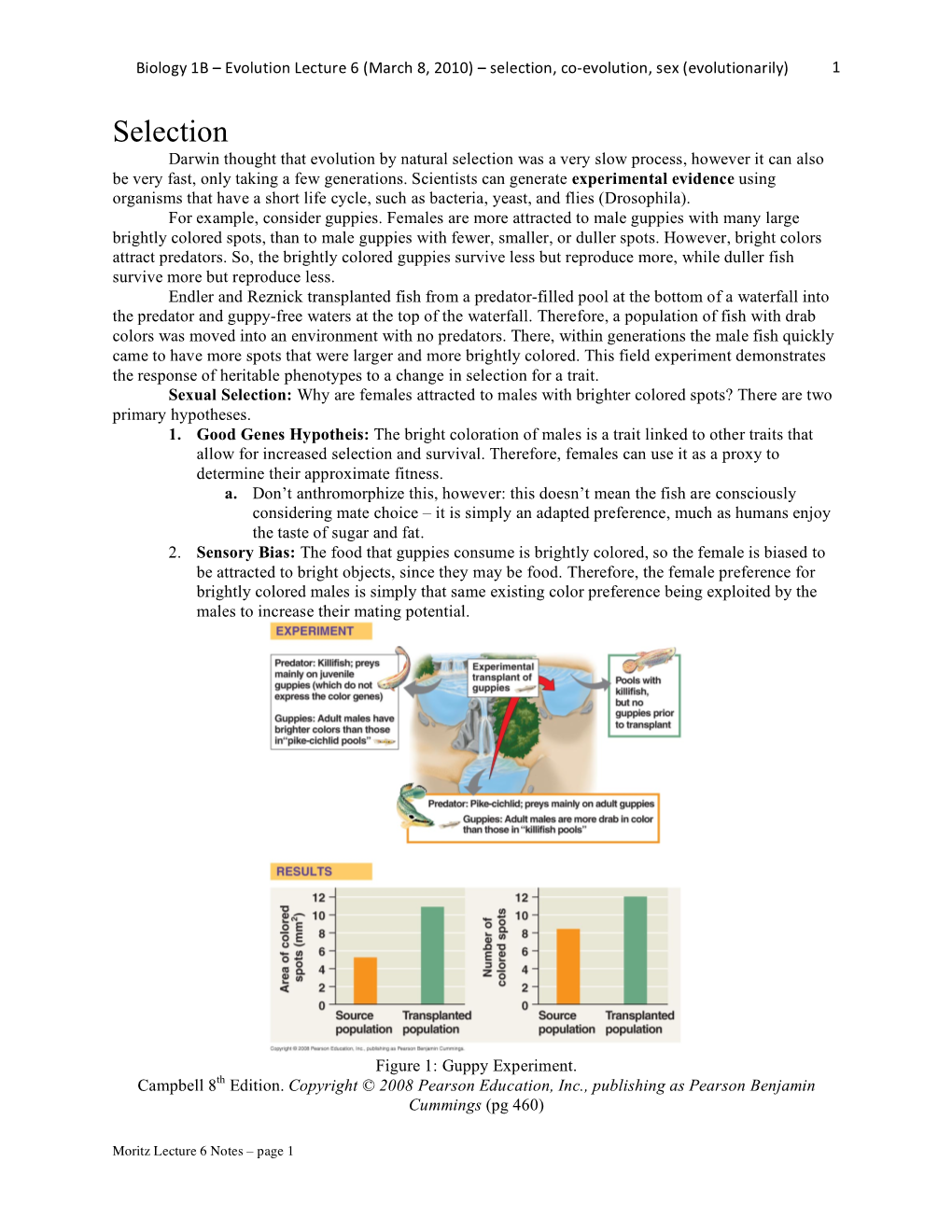 Selection, Co‐Evolution, Sex (Evolutionarily) 1