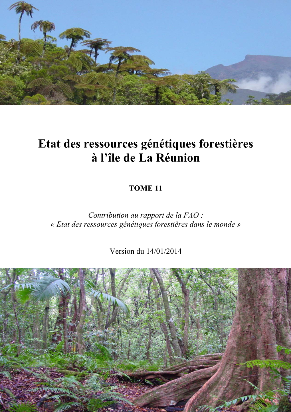 Etat Des Ressources Génétiques Forestières À L'île De La Réunion