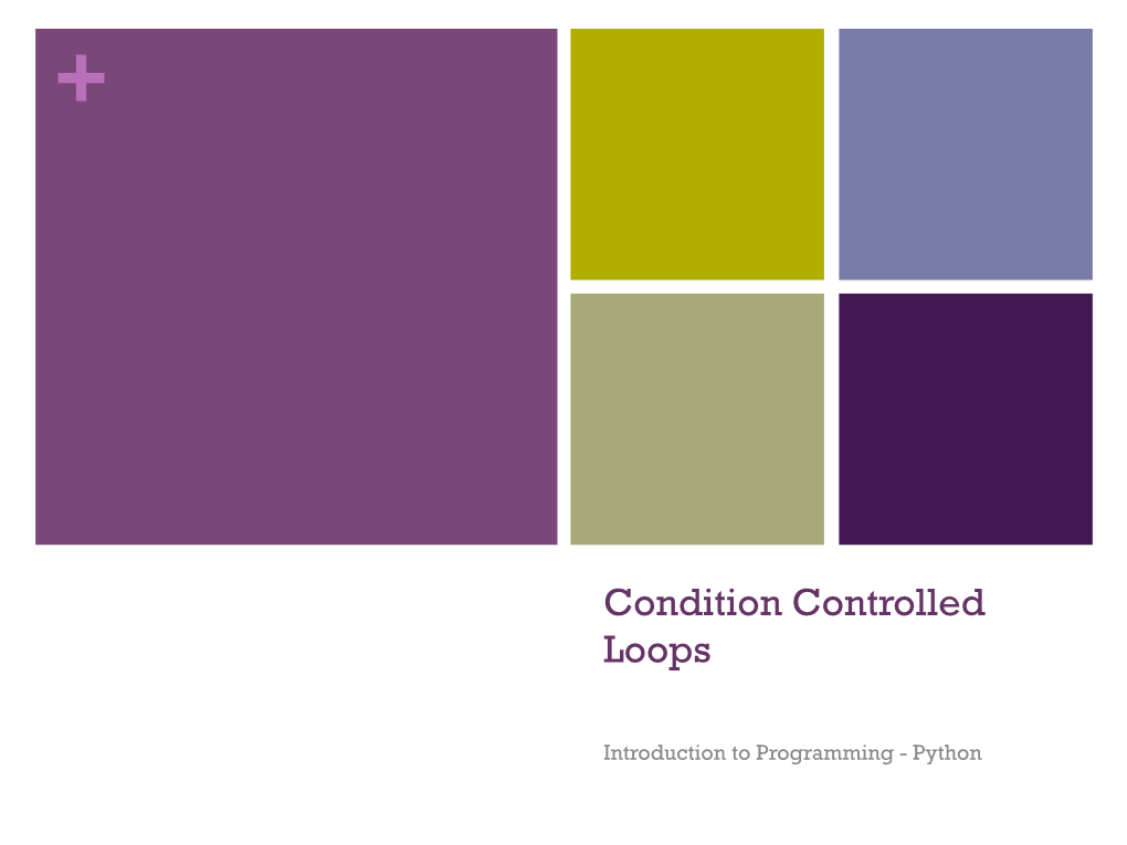 Condition Controlled Loops