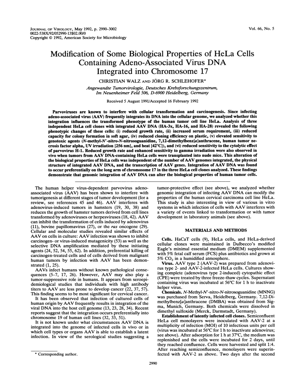 Modification of Some Biological Properties of Hela Cells Containing Adeno-Associated Virus DNA Integrated Into Chromosome 17 CHRISTIAN WALZ and JORG R