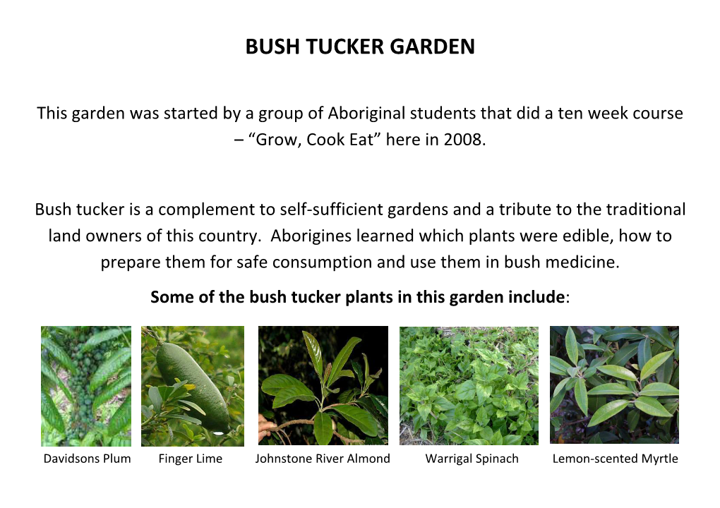 Bush Tucker Garden