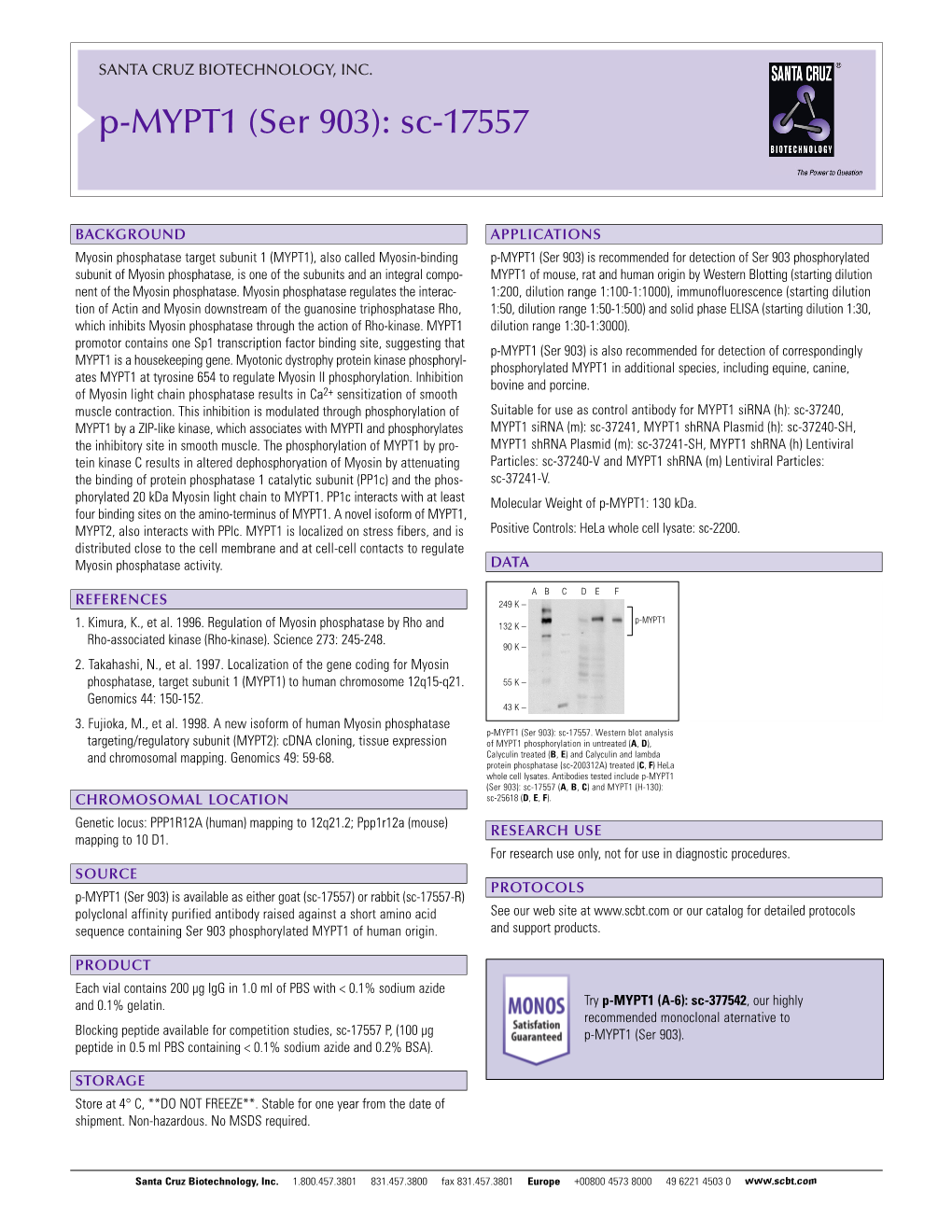 Datasheet Blank Template