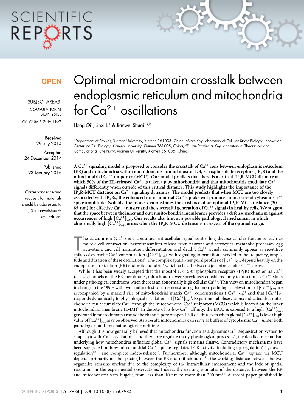 Optimal Microdomain Crosstalk Between Endoplasmic Reticulum