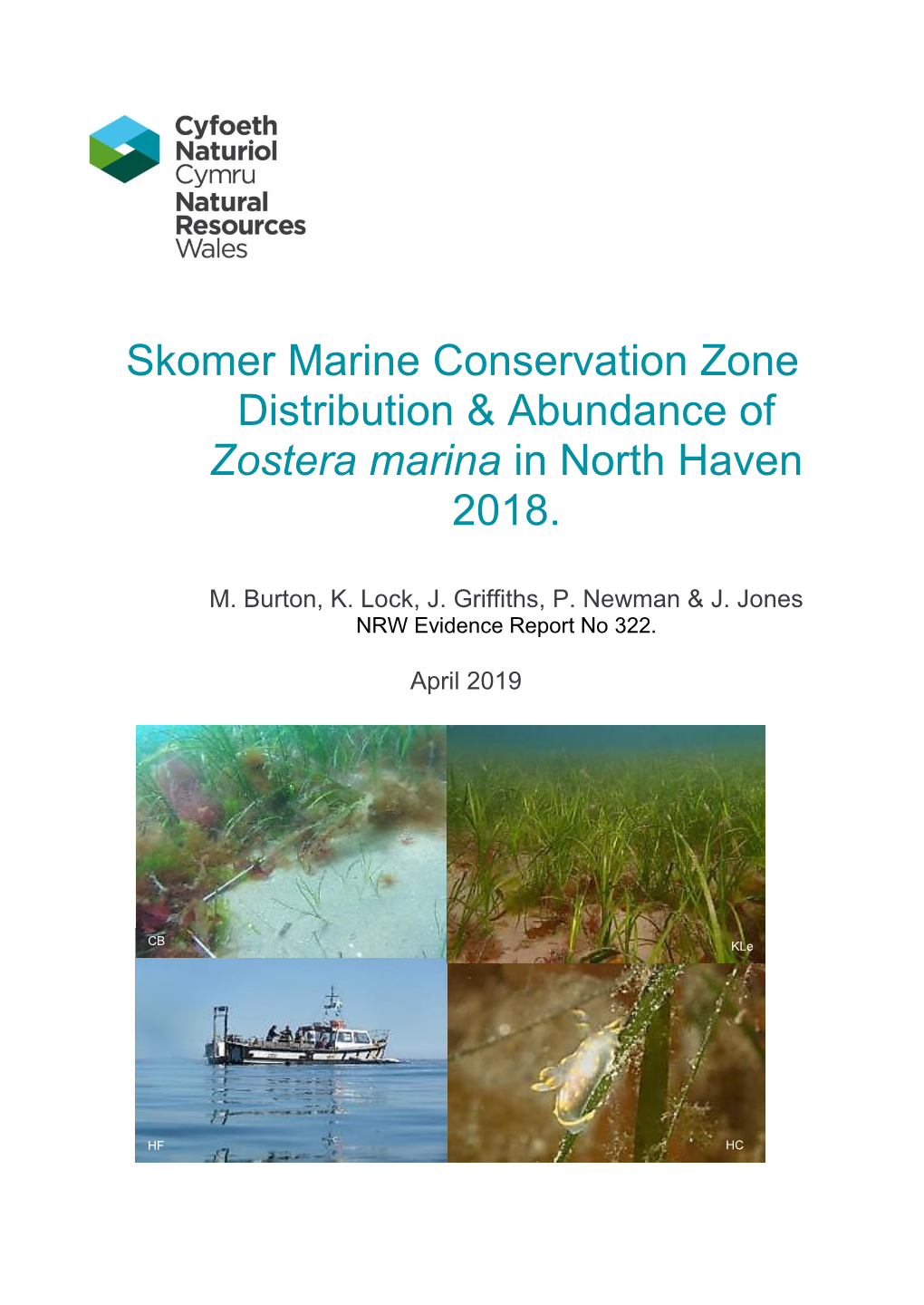 Skomer Marine Conservation Zone Distribution & Abundance Of