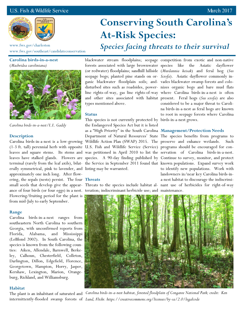 Carolina Birds in a Nest Fact Sheet SC 2017.Pub