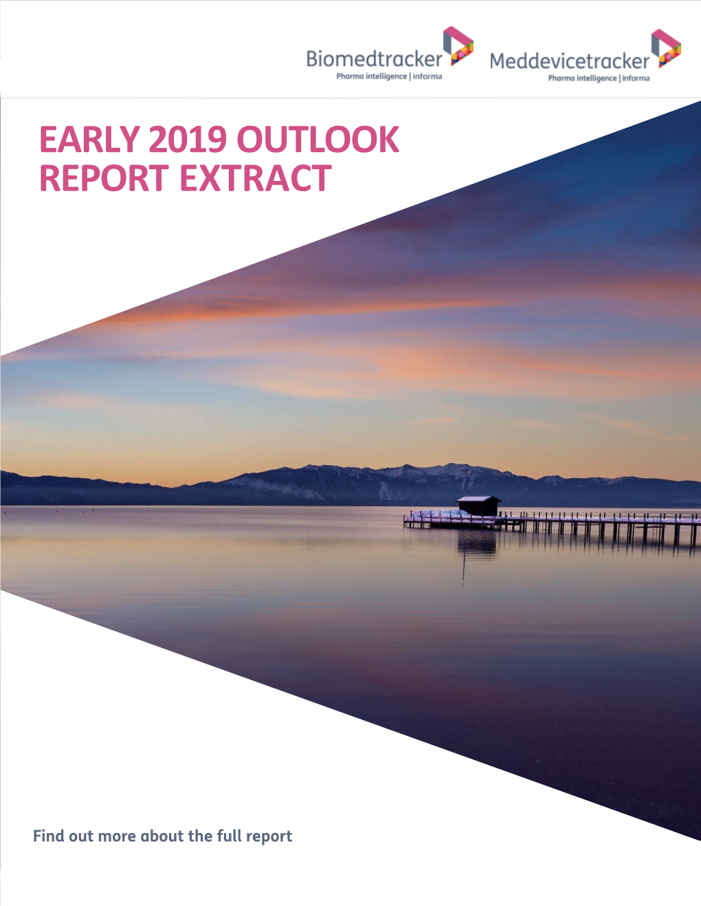 Early 2019 Outlook Report Extract