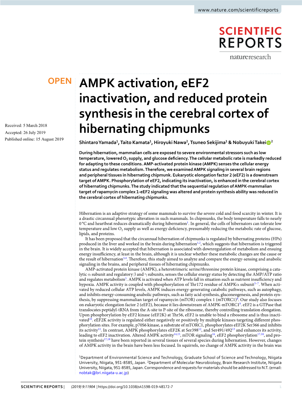 AMPK Activation, Eef2 Inactivation, and Reduced Protein Synthesis In