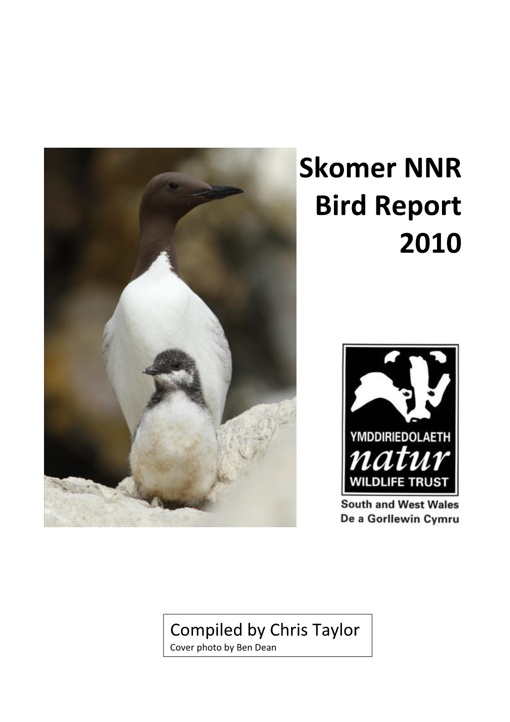 Birds on Skomer Island N