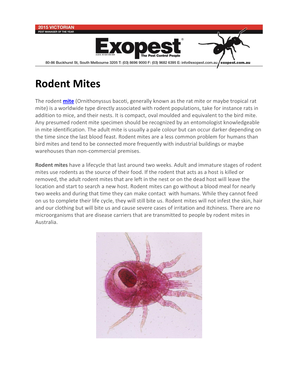 Rodent Mites