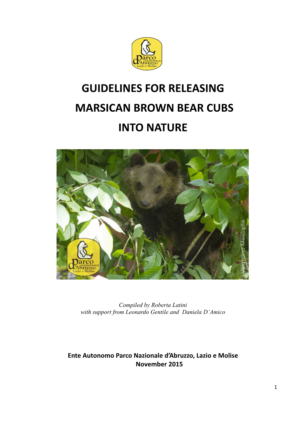 Guidelines for Releasing Marsican Brown Bear Cubs Into Nature