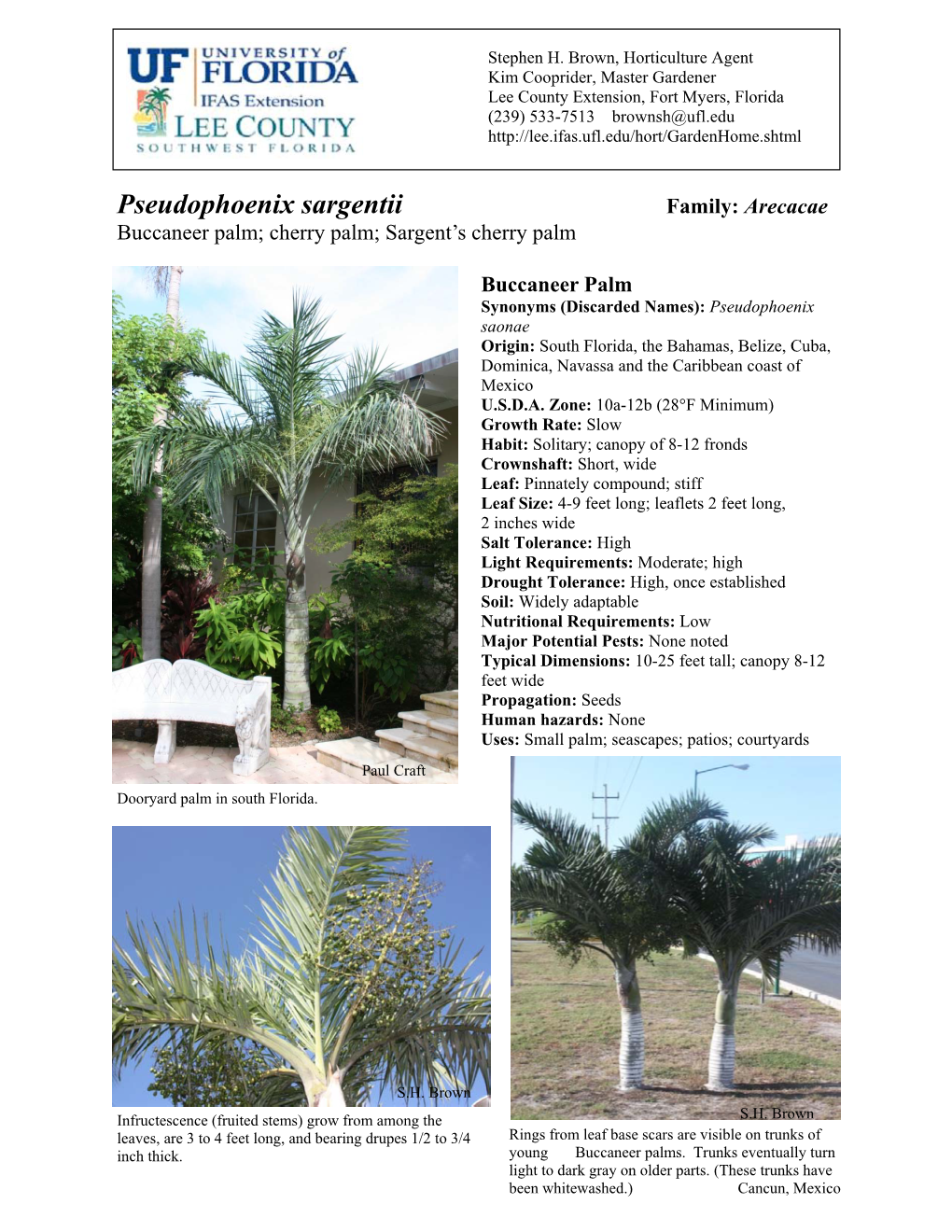 Pseudophoenix Sargentii Family: Arecacae Buccaneer Palm; Cherry Palm; Sargent’S Cherry Palm