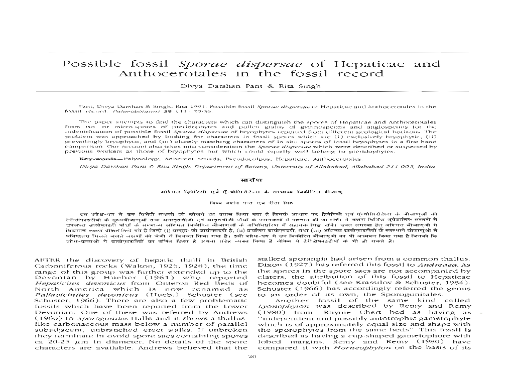 Possible Fossil Sporae Anthocerotales Dispersae of Hepaticae in the Fossil Record