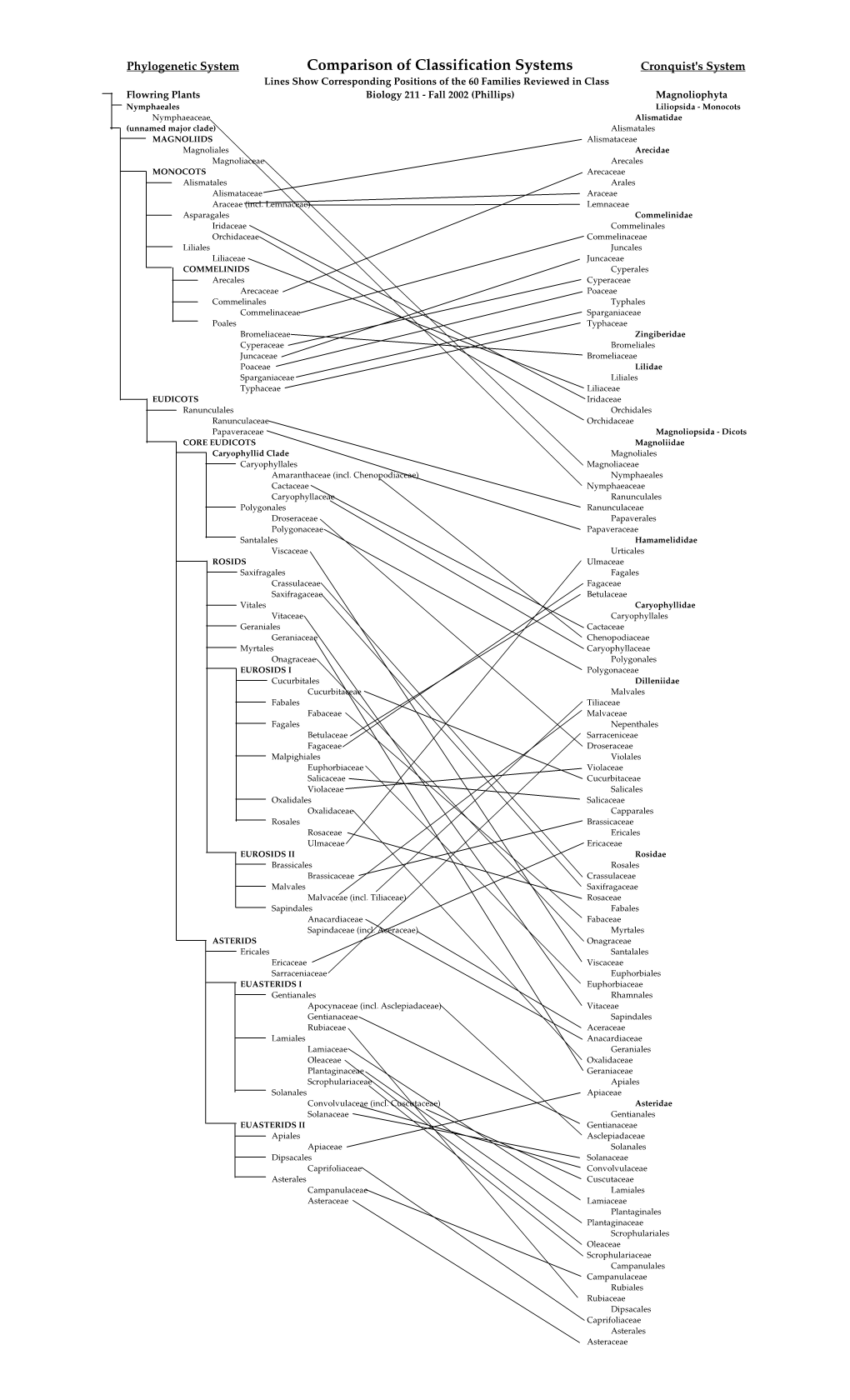 Comparison of Cronquist and Phylogeneticalt