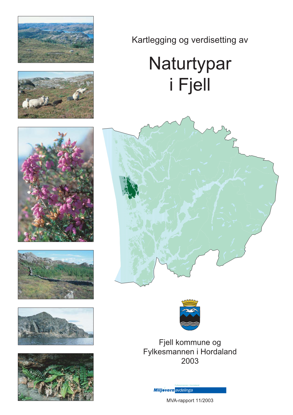 Kartlegging Og Verdisetjing Av Naturtypar I Fjell