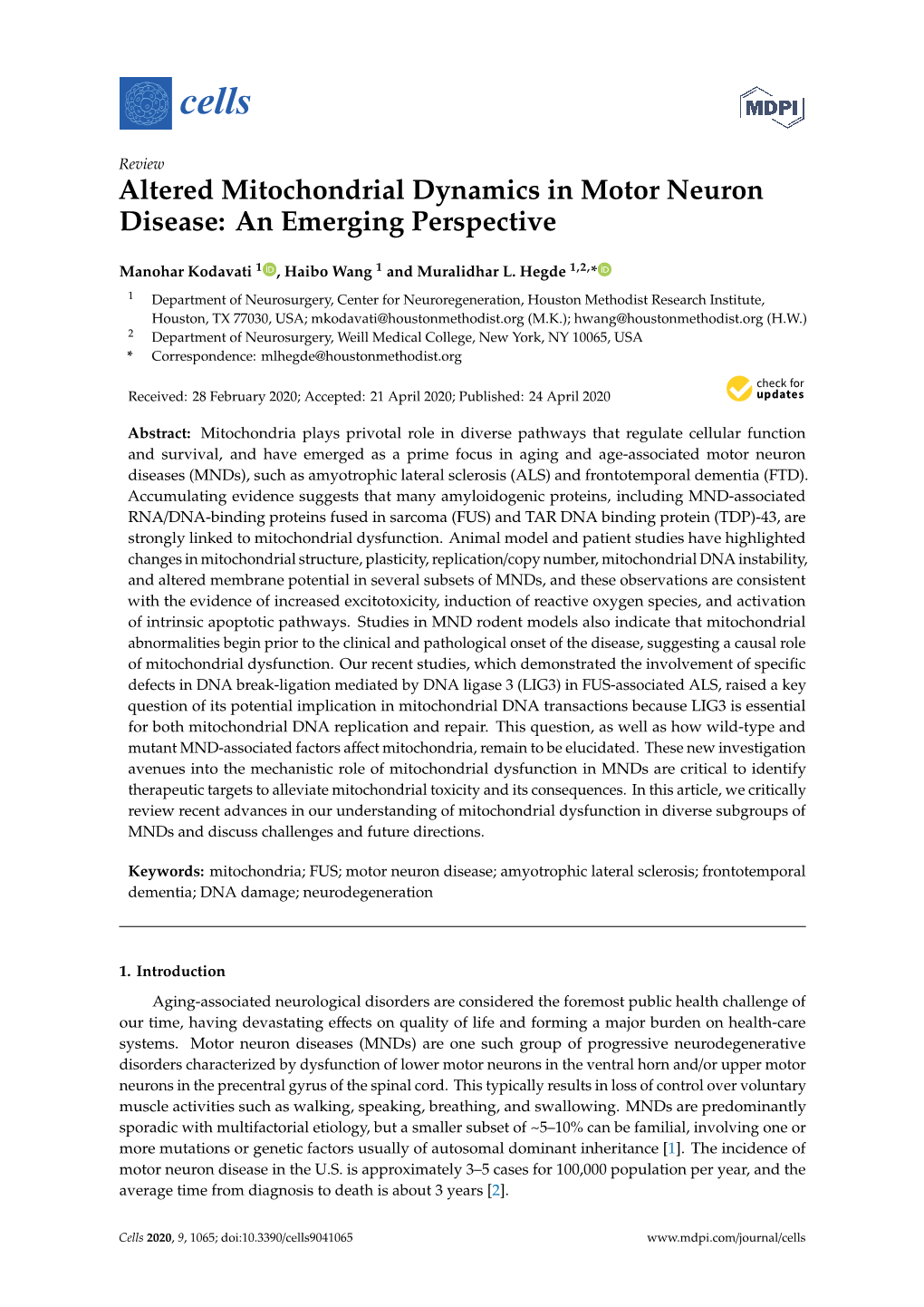 Altered Mitochondrial Dynamics in Motor Neuron Disease: an Emerging Perspective