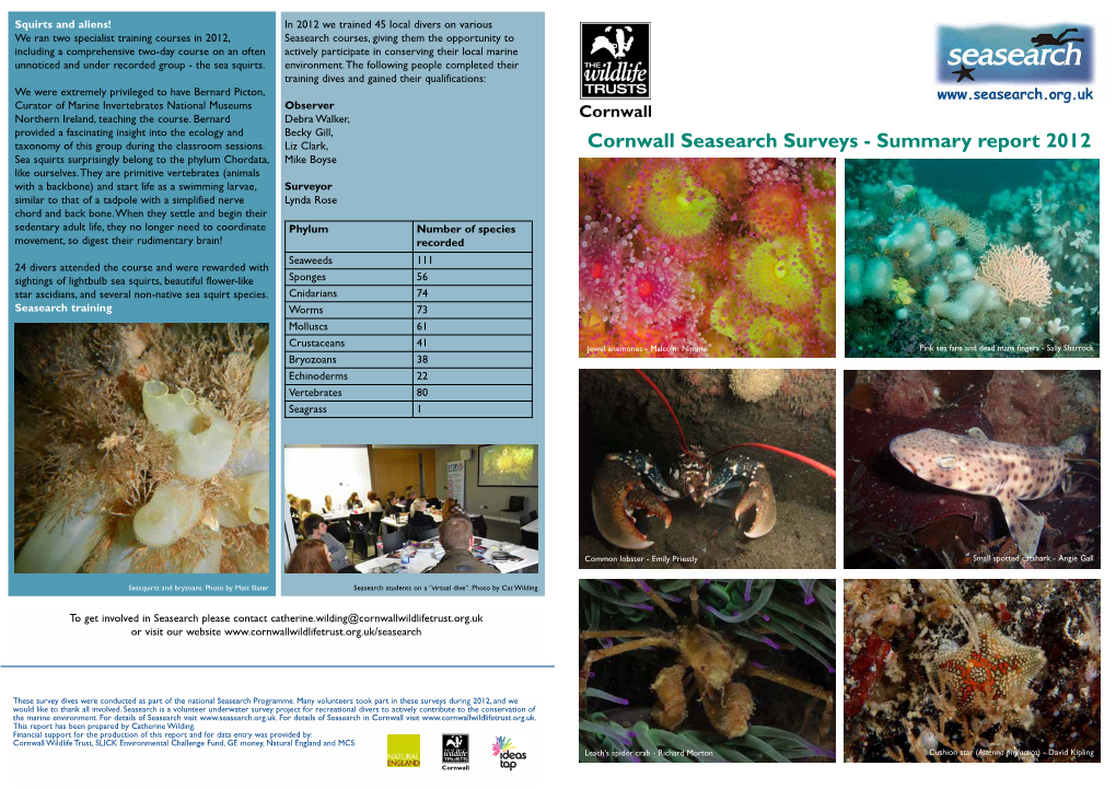 Cornwall Seasearch Surveys - Summary Report 2012 Sea Squirts Surprisingly Belong to the Phylum Chordata, Mike Boyse Like Ourselves